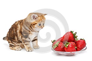 Small kitten and a bowl with strawberries