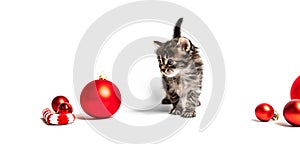 Small furry kitten with red balls