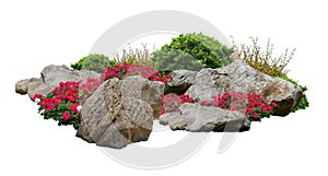 Small garden consists of stone bush and flowers with isolated background
