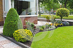 Small garden in front of the Dutch house.