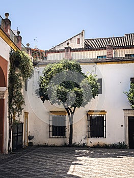 Small Garden (Jardin Chico) at Casa de Pilatos (Pilates House) Palace Interior photo