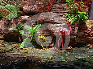 small garden next to the fish pond