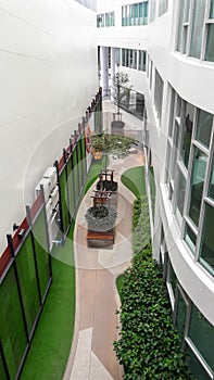 Small garden at pathway between building