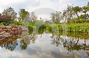 Small pond in landscaping garden