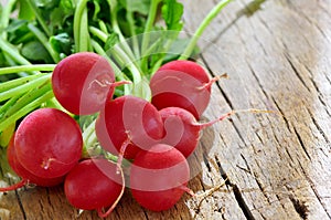 Small garden radish shoot in studio