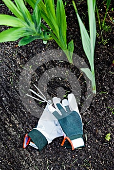 Small garden rake with gloves