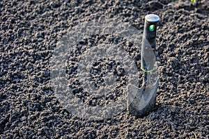 A small garden shovel lies on the soil compacted for planting