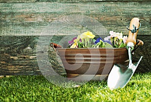 Small garden trowel with colourful flowers