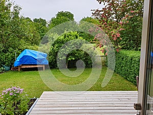 Small garden view with wooden deck, trees, flowers and hedges in Skåne Sweden during summer