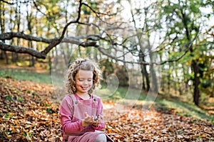 Small girl in autumn forest, collecting conkers.