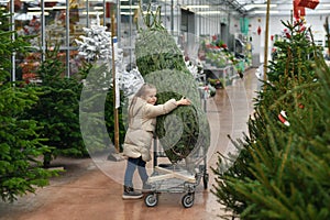 Small girl chooses a Christmas tree in the market