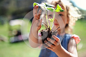 Small girl with dirty hands outdoors in garden, sustainable lifestyle concept.