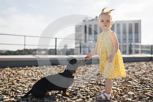 Small girl facing dachshund on pebble flooring in city