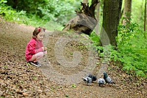 Small Girl feeds urban pigeons pigeons in the park