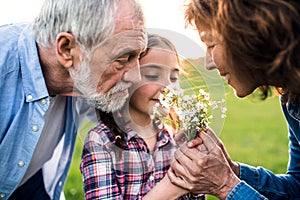 A small girl with her senior grandparents smelling flowers outside in nature.