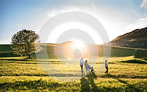 A small girl with her senior grandparents with wheelchair on a walk outside in sunset nature.