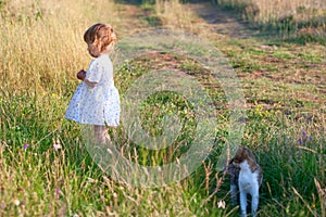 Small girl in the light dress and cat