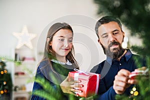 Small girl with a present standing by a Christmas tree with her father at home.