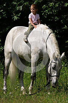 Small girl riding bareback by gray horse