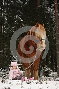 Small girl sitting in the snow and big palomino horse standing n