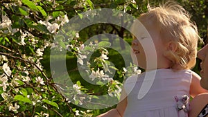 Small girl in a white dress sniffs flowers on apple tree