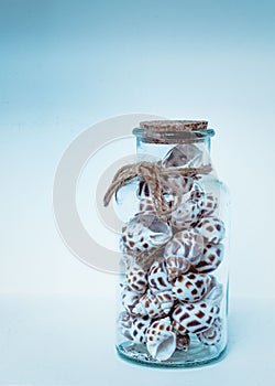 Small glass bottle with a rope tied around it, filled with miniature seashells