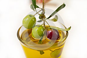 small glass bowl with olive oil, decorated with a small twig with olives, fruit