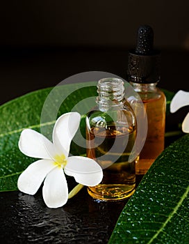 Small glass jars with oil and Frangipani Plumeria patchouli flowers for spa treatments black background, selective focus