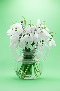 Small glass vase with snowdrops flowers