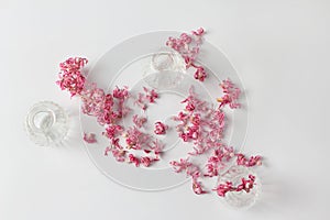 Small glass vases and dry pink flowers. Minimalistic composition on a white background. view from above