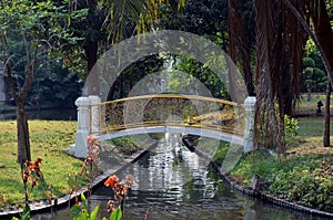 Small graceful bridge