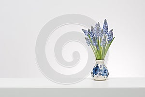 Small Grape Hyacinths in a delfts blue vase in white surrounding