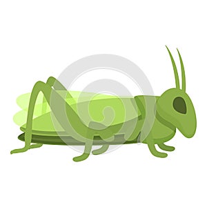 Small grasshopper icon cartoon vector. Amusing creature