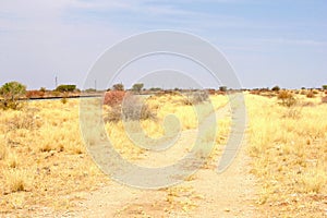 Small gravel road savanna landscape, Namibia