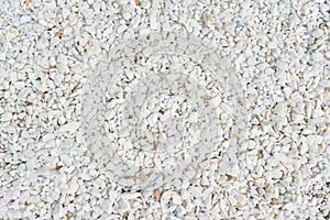 Small gravel stones, little scree texture macadam background photo