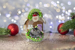 a small gray hamster with a sweet green decoration on his neck against a background of Christmas tree decorations and