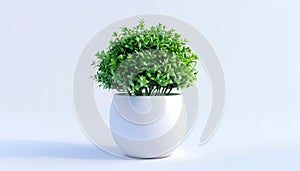 Small Green Artificial Topiary Plant in White Ceramic Pot for Indoor Home or Office D cor