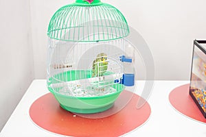 A small green cage with a green wavy parrot in the room