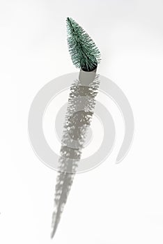 Christmas tree and shadow on a white background of a textured surface of a wall and white table.
