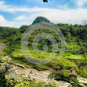 A small green hill surrounded by lush forest