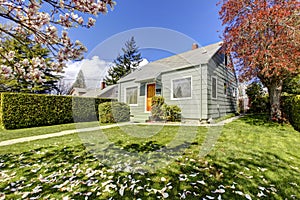 Small green house exterior with spring blooming trees.