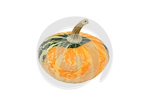 Small green and orange disc-shaped ornamental gourd