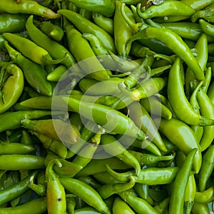 Small green peppers