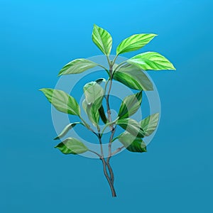 Small green plant with several leaves, growing on top of blue background. The plant is positioned in center of frame