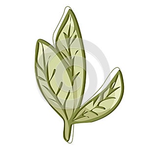 Small green plant sprout trefoil vector illustration