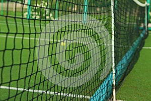 A small green tennis ball lies behind the grid