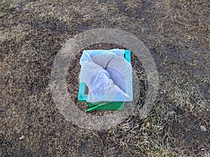 small and green trash can in the park