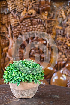 The small green tree in the clay pot with the blur tree carving