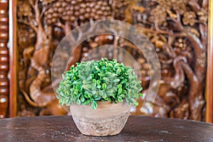 The small green tree in the clay pot with the blur tree carving