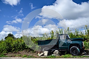 Small Green Truck